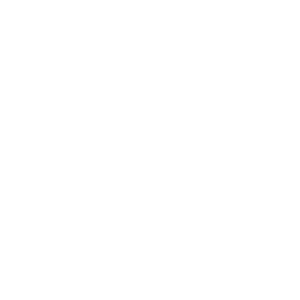 Inicio 9 tesicon1